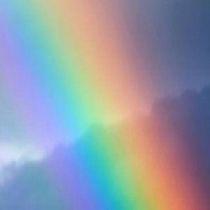 Meet your Posher, Springkleaner